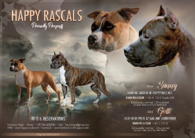 happyrascals